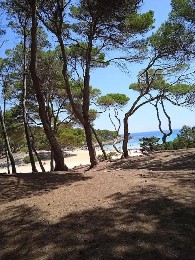 Mare Nostrum Cala Ratjada  0*, Cala Ratjada (Mallorca)