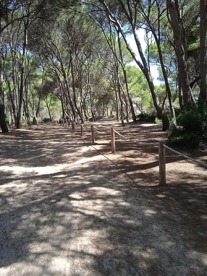 Mare Nostrum Cala Ratjada  Διαμέρισμα